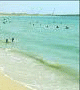 Septic Beaches Spoil Dubai's Image