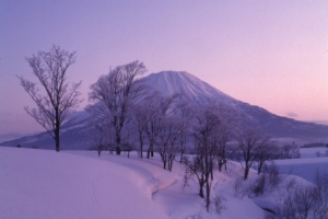 Hokkaido and Tohoku guide in Japan