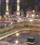 Saudi Arabia sees sharp rise in Umrah visitors